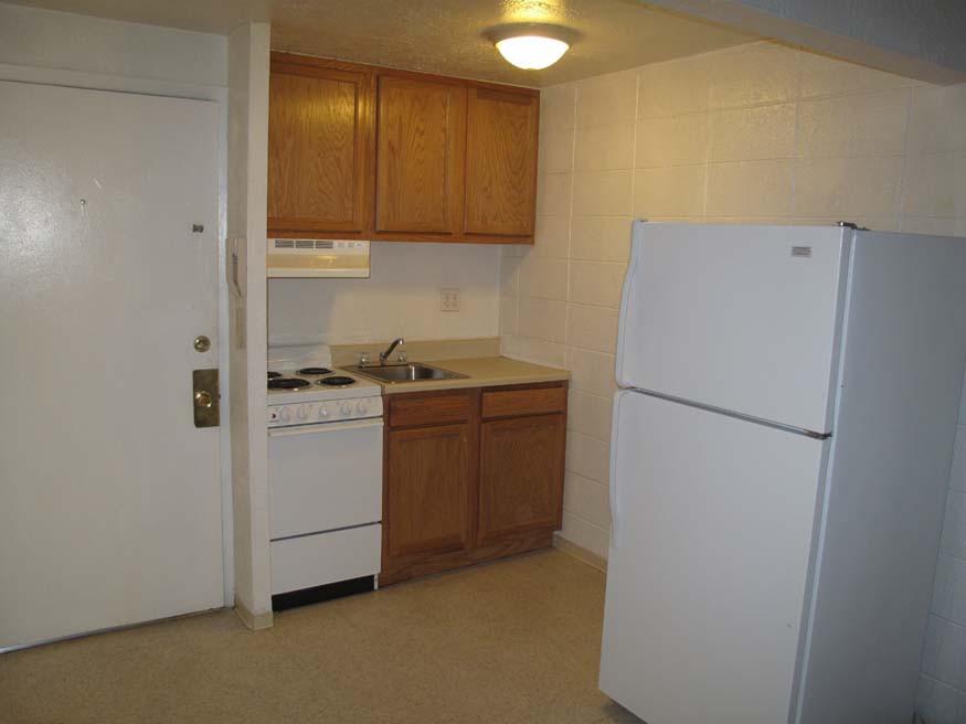 Apartment Showing Entrance and Kitchen studio apartments